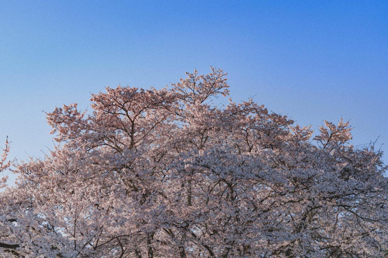Kominkayado Loof Sakanoie Fuefuki Luaran gambar